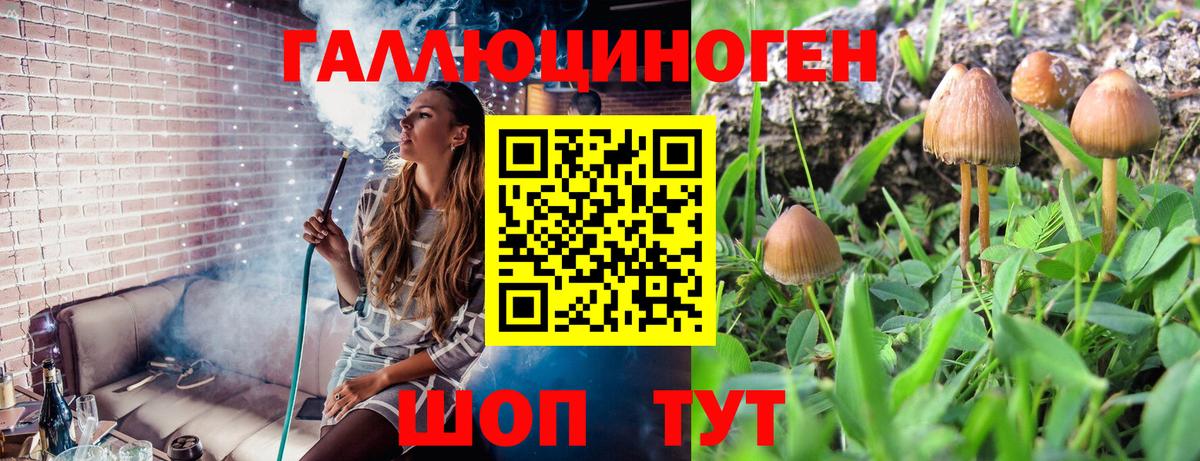 Кореновск  Псилоцибиновые грибы мухоморы  Вход с VPN  Псилоцибиновые грибы Cubensis 