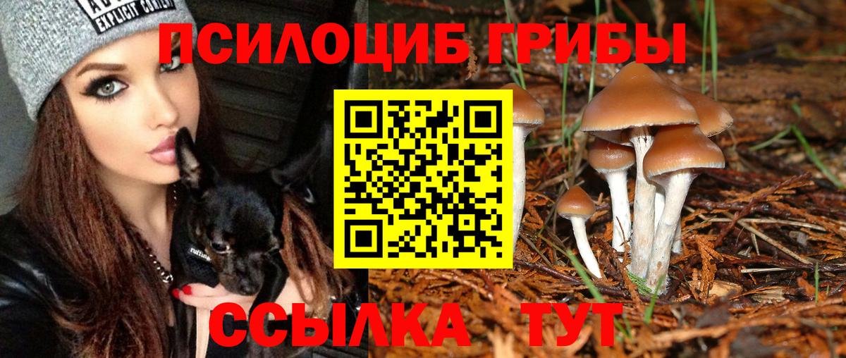 Галлюциногенные грибы прущие грибы Кореновск